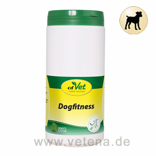 CdVet Dogfitness