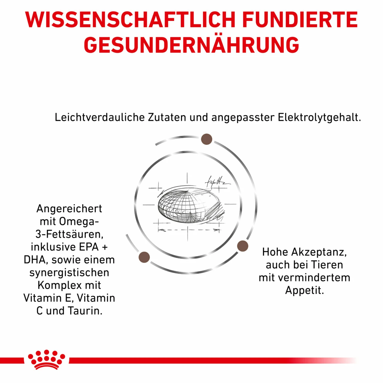 Royal Canin Gastrointestinal Moderate Calorie Trockenfutter Für Hunde – Bild 4