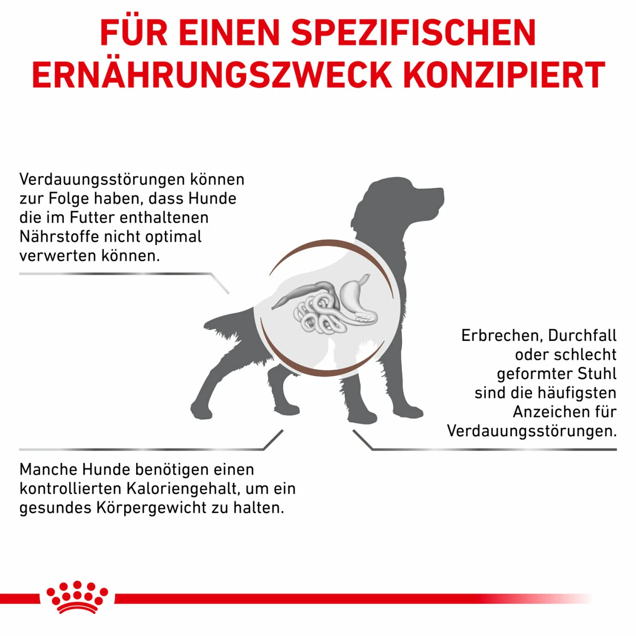 Royal Canin Gastrointestinal Moderate Calorie Trockenfutter Für Hunde – Bild 5