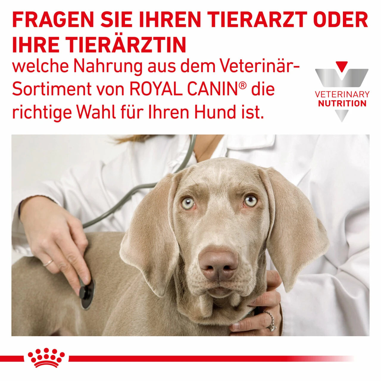 Royal Canin Gastrointestinal Moderate Calorie Trockenfutter Für Hunde – Bild 8