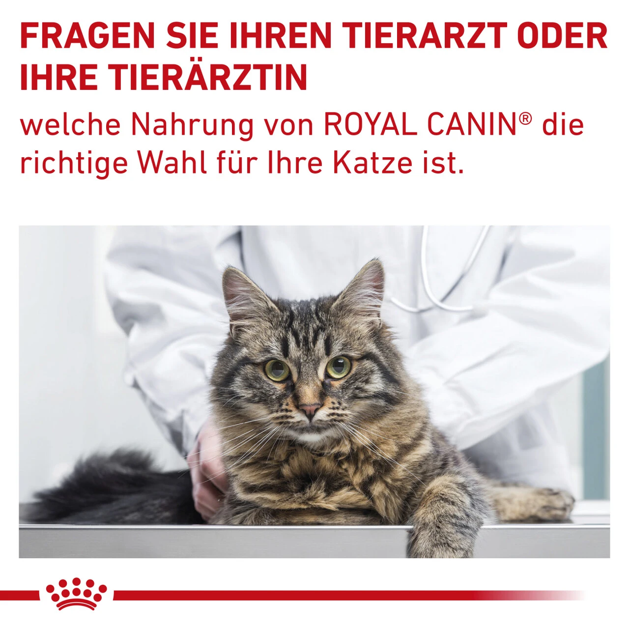 Royal Canin Gastrointestinal Fibre Response Trockenfutter Für Katzen – Bild 10