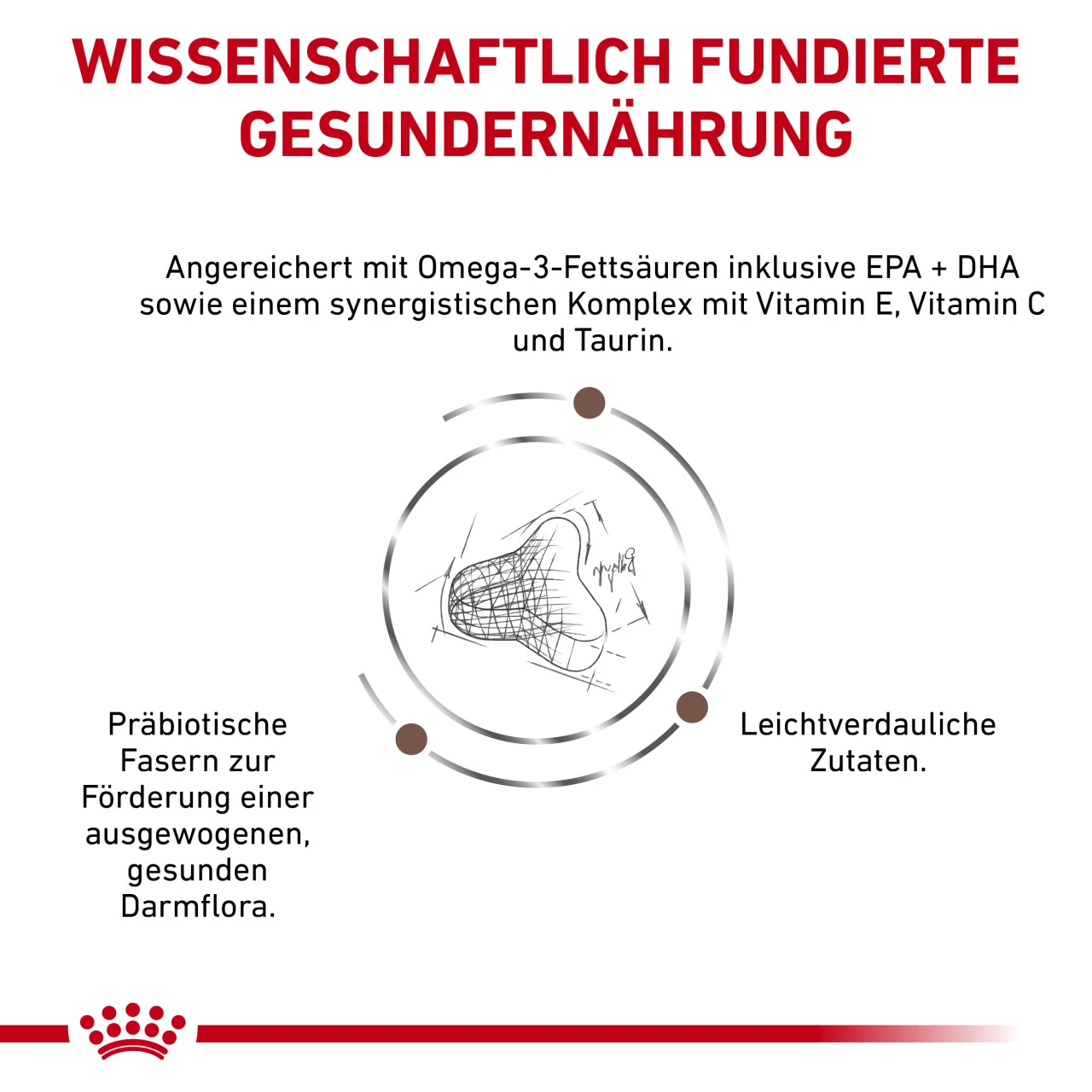 Royal Canin Gastrointestinal Fibre Response Trockenfutter Für Katzen – Bild 5