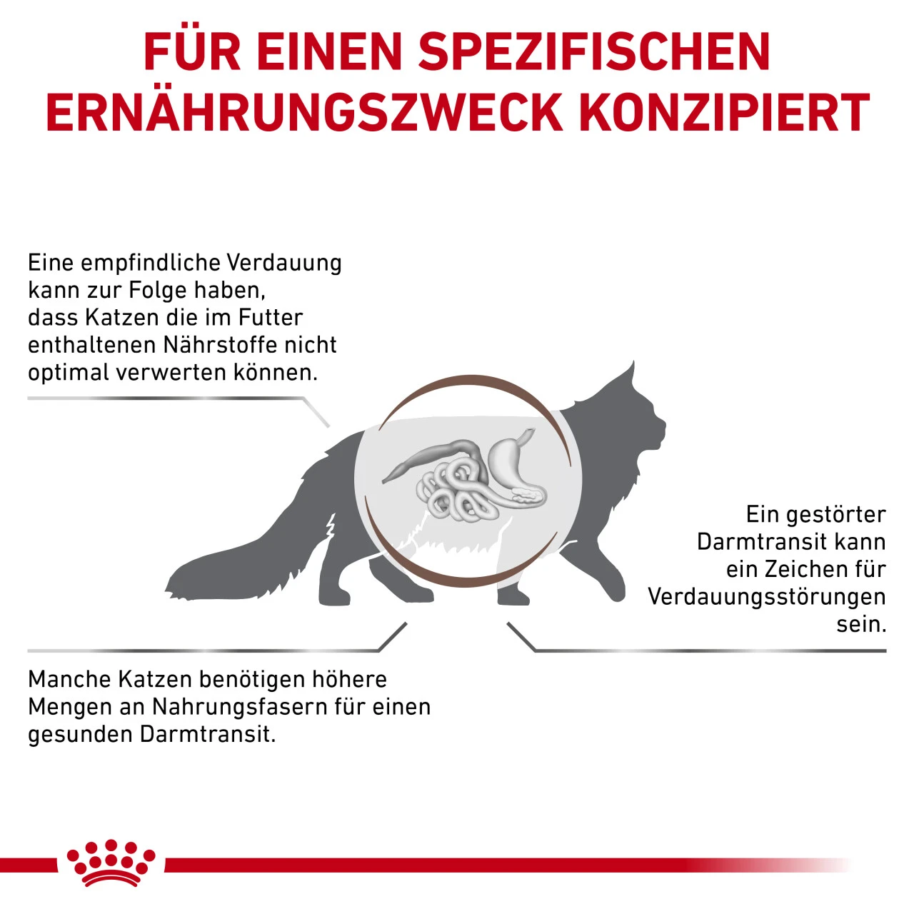 Royal Canin Gastrointestinal Fibre Response Trockenfutter Für Katzen – Bild 6