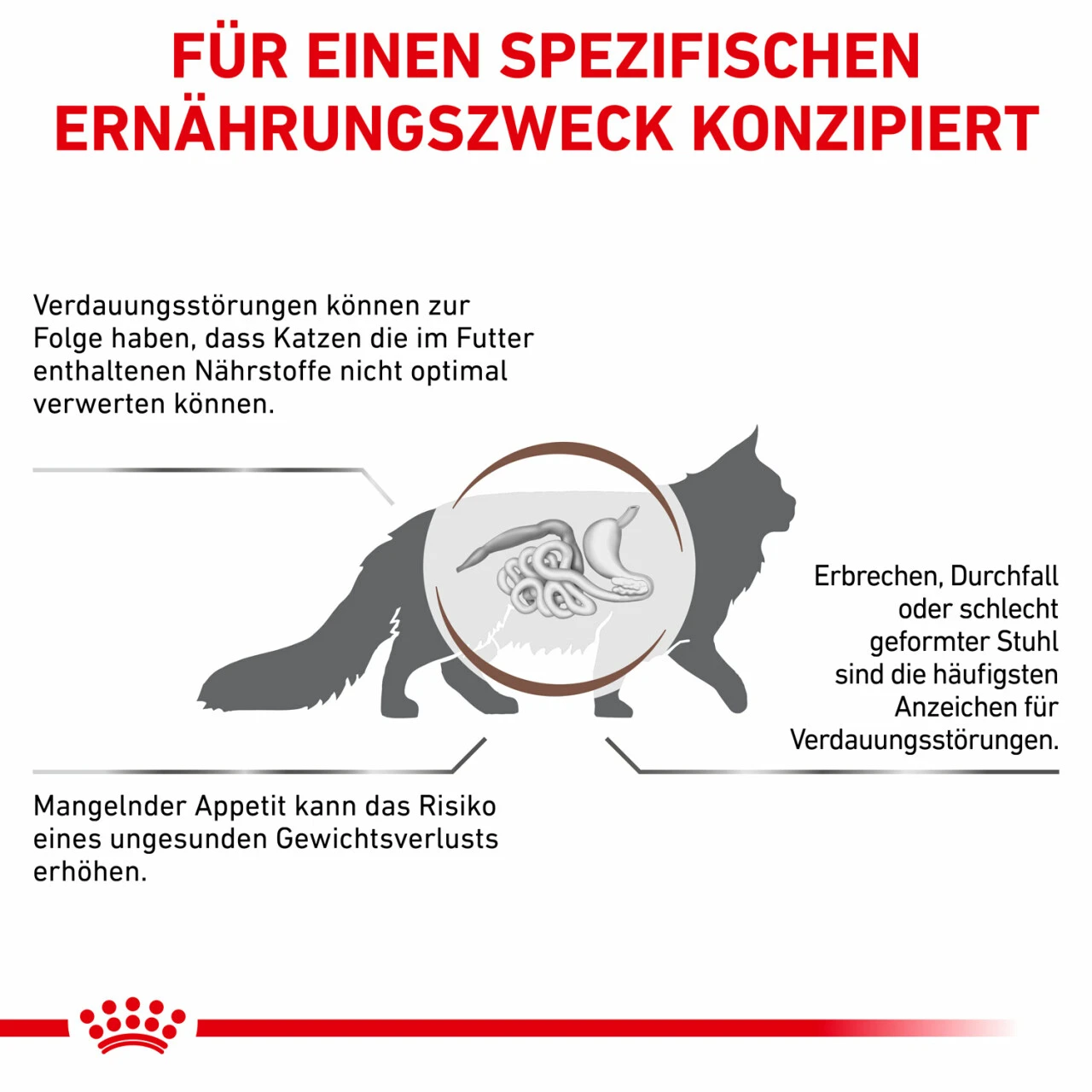 Royal Canin Gastrointestinal Trockenfutter Für Katzen – Bild 5