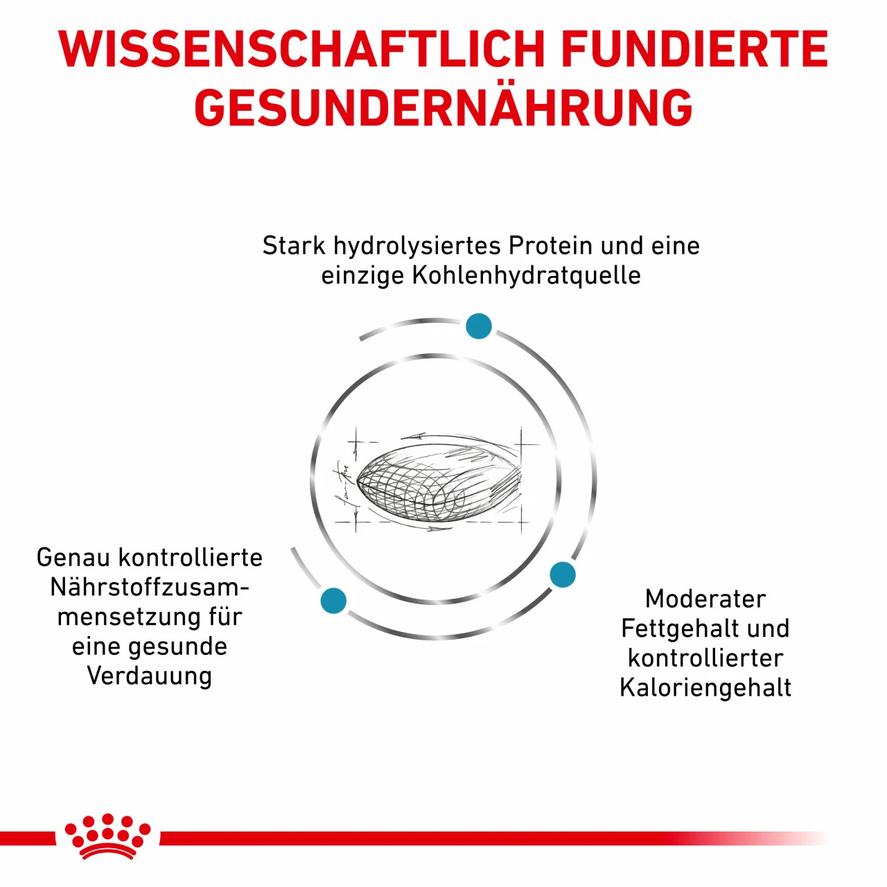 Royal Canin Hypoallergenic Moderate Calorie Trockenfutter Für Hunde – Bild 3