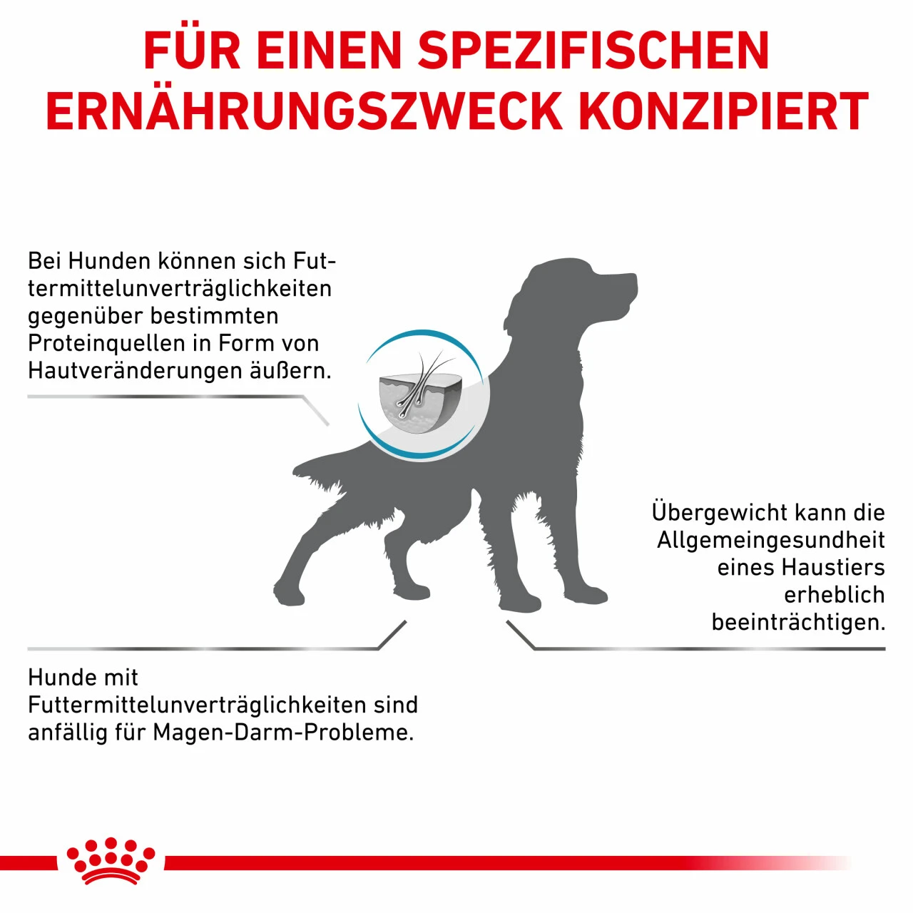 Royal Canin Hypoallergenic Moderate Calorie Trockenfutter Für Hunde – Bild 7