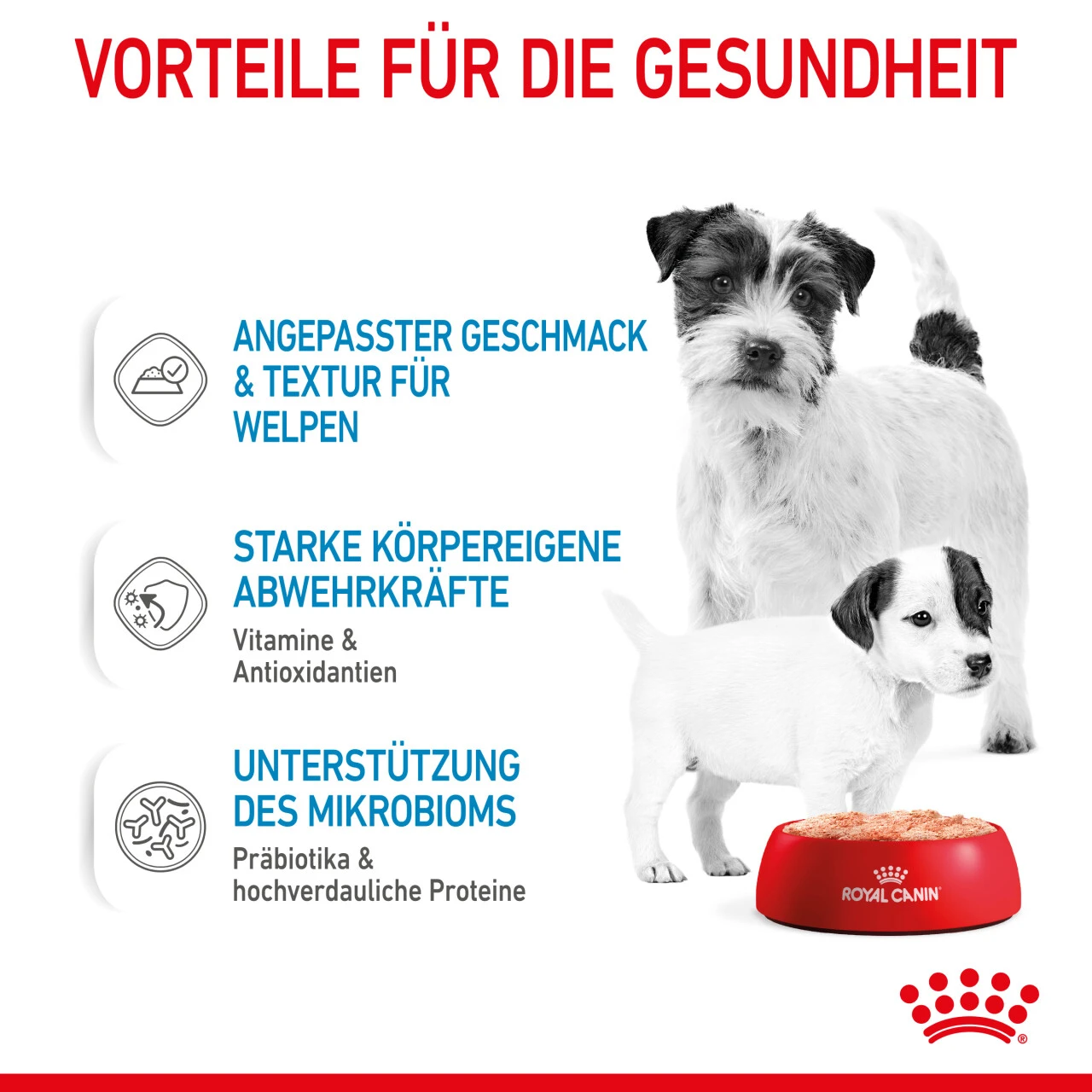 Royal Canin Starter Mousse Mother & Babydog Nassfutter Für Hunde – Bild 5