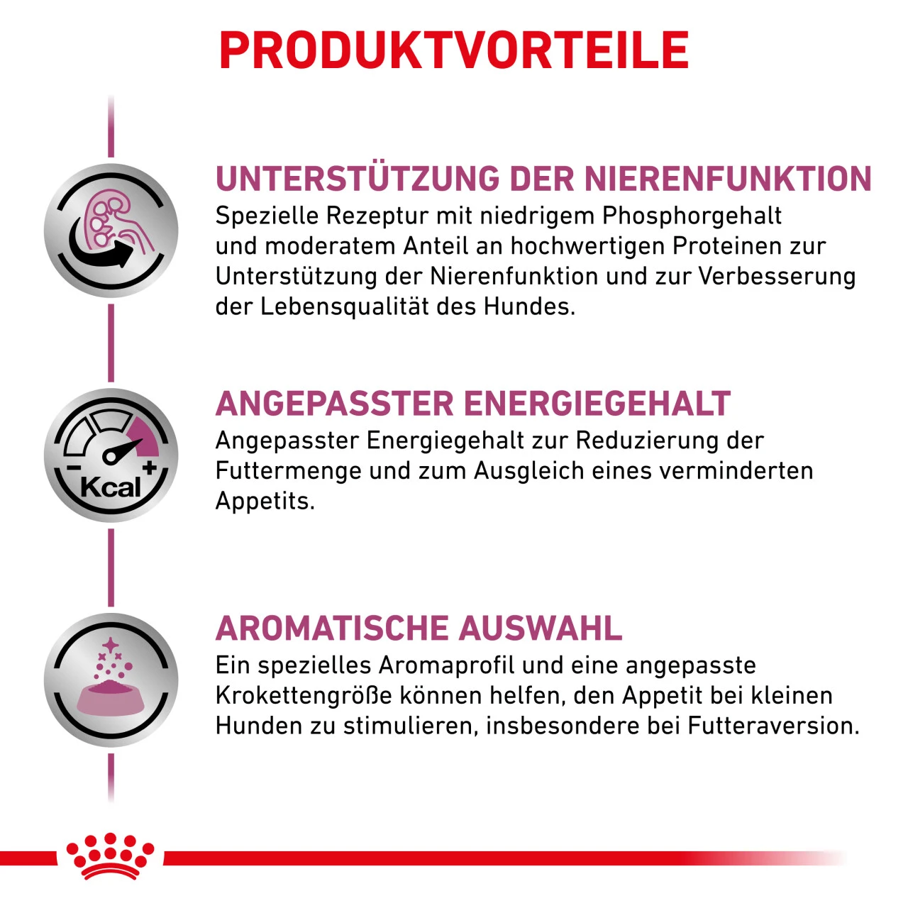 Royal Canin Renal Small Dogs Trockenfutter Für Hunde – Bild 2