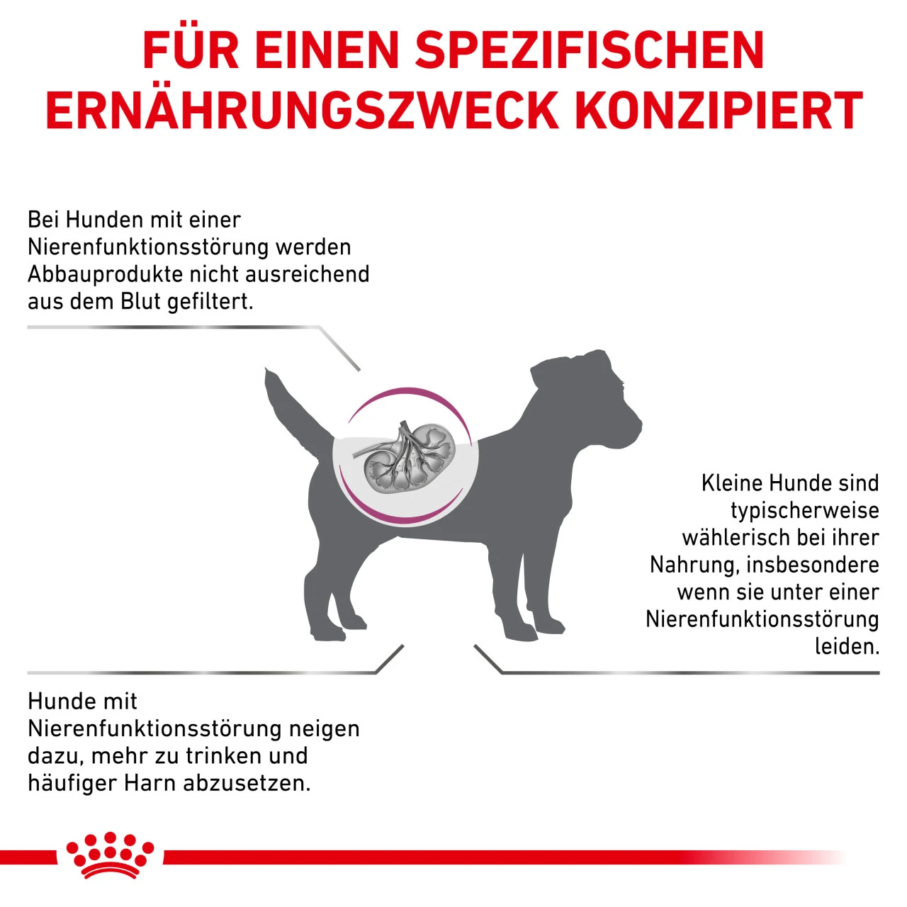 Royal Canin Renal Small Dogs Trockenfutter Für Hunde – Bild 5