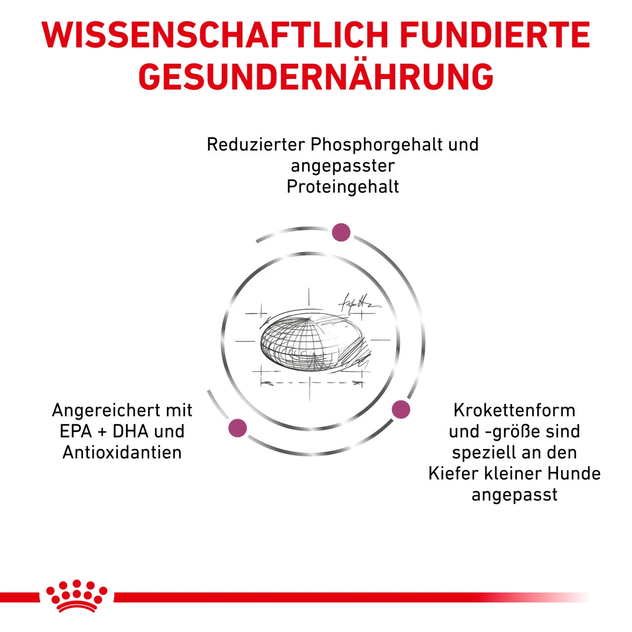 Royal Canin Renal Small Dogs Trockenfutter Für Hunde – Bild 6